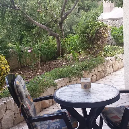 Apartmán Jelic *